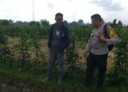 Wujud Sinergi Polri dan Petani: Ketahanan Pangan Dimulai dari Kuripan, Lombok Barat