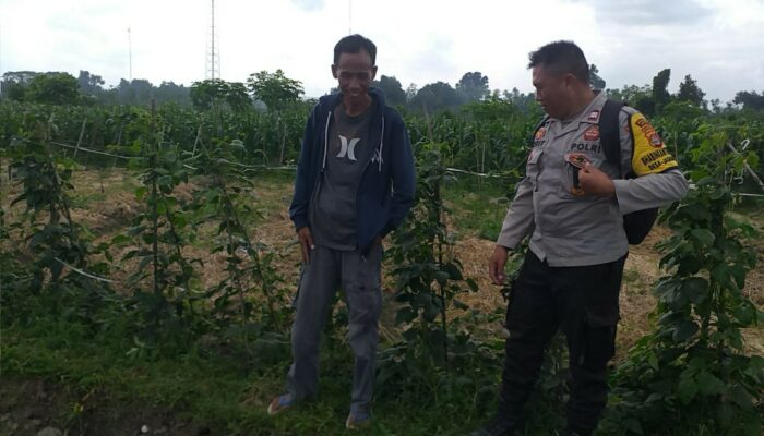 Wujud Sinergi Polri dan Petani: Ketahanan Pangan Dimulai dari Kuripan, Lombok Barat