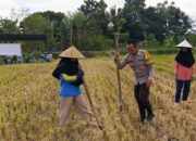 Sosialisasi Pupuk Subsidi Tanpa Biaya oleh Bhabinkamtibmas di Kuripan Utara