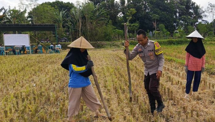 Sosialisasi Pupuk Subsidi Tanpa Biaya oleh Bhabinkamtibmas di Kuripan Utara