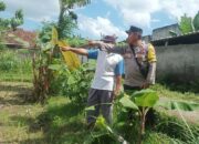Langkah Nyata Desa Sandik Menuju Kemandirian Pangan Rumah Tangga