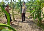 Dusun Gersik Asri Jadi Contoh Sinergi Polri dan Petani