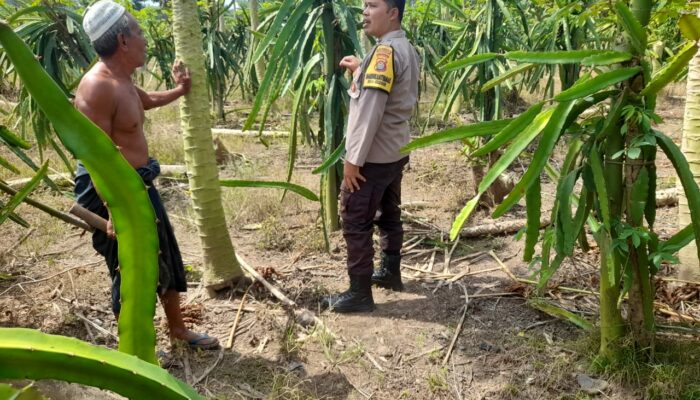 Dusun Gersik Asri Jadi Contoh Sinergi Polri dan Petani