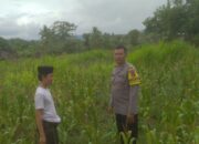 DDS di Dusun Long Longan: Polisi Ajak Petani Manfaatkan Lahan Kosong