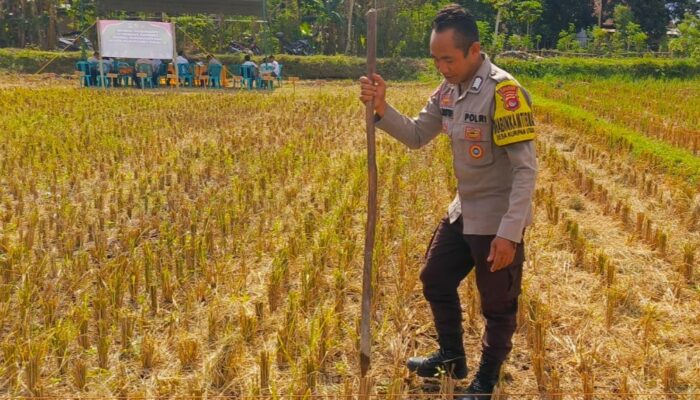 Sinergi Polri dan Petani Dusun Perengge Kuah Dukung Program Pangan Nasional
