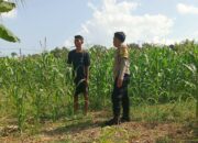 Ketahanan Pangan Dimulai dari Desa: Polsek Sekotong Perkuat Peran Bhabinkamtibmas