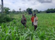 Bypass BIL II Diawasi Ketat, Polres Lobar Cegah Aksi Kriminal