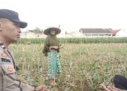 Swasembada Pangan Dimulai dari Desa: Peran Aktif Polisi di Labuapi