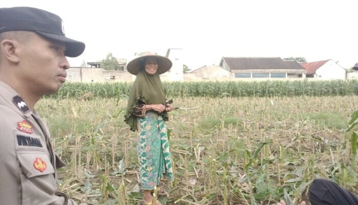 Swasembada Pangan Dimulai dari Desa: Peran Aktif Polisi di Labuapi