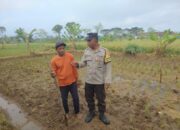 Sinergi Polri dan Warga Desa Montong Are Wujudkan Swasembada Pangan