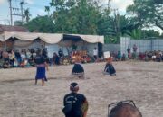 Paguyuban Peresean NTB Unjuk Gigi di Dusun Jerneng, Lombok Barat