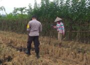 Pekarangan Jadi Lumbung Pangan: Inisiatif Humanis Bhabinkamtibmas di Desa Jagaraga