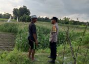 Kuripan Utara Jadi Contoh Penerapan Ketahanan Pangan Rumah Tangga