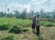 Panen Kacang di Taman Ayu: Momen Polisi Bangun Komunikasi Humanis dengan Warga