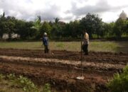 Sinergi Petani dan Polisi di Lombok Barat Perkuat Swasembada Pangan