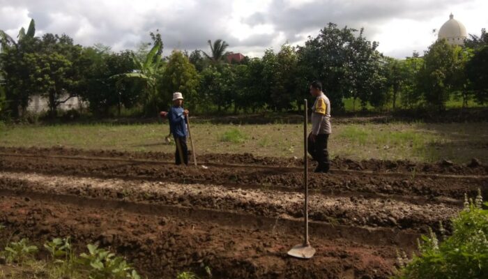 Sinergi Petani dan Polisi di Lombok Barat Perkuat Swasembada Pangan