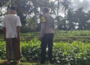 Ketahanan Pangan Dimulai dari Pekarangan Warga Lembar