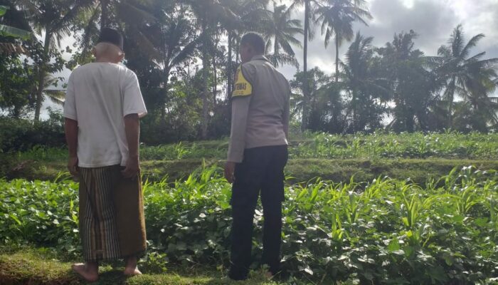 Ketahanan Pangan Dimulai dari Pekarangan Warga Lembar