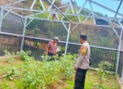 Bhabinkamtibmas Desa Mantun Dampingi Pengelolaan Pekarangan Pangan Bergizi