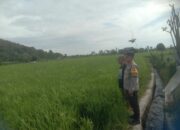 Bhabinkamtibmas Desa Rhee Dukung Ketahanan Pangan dengan Memotivasi Warga Manfaatkan Pekarangan