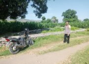 Lahan Jagung So Na’e Telah Terisi Penuh, Bhabinkamtibmas Pastikan Tak Ada Persiapan Tanam Kuartal Ketiga