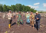 Polairud, Polsek, dan TNI Tanam Mangrove Bersama Dinas Perikanan Dompu