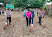 Kapolri,Pimpin Penanaman Jagung Kuartal III Serentak Secara Virtual Kapolres Bima Laksanakan Penanaman Jagung di Lahan 1 Hektare Milik Mapolsek Monta