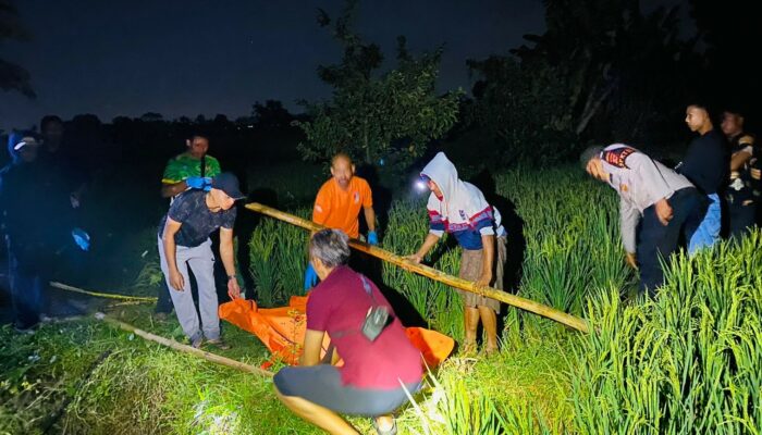 Lansia Hilang Ditemukan Meninggal di Sawah, Polisi Pastikan Bukan Korban Kekerasan