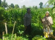 Perkuat Kamtibmas dan Ketahanan Pangan, Polsek Kediri Hadir di Tengah Sawah