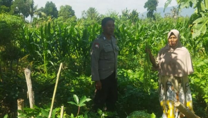 Perkuat Kamtibmas dan Ketahanan Pangan, Polsek Kediri Hadir di Tengah Sawah