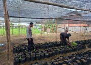 Bhabinkamtibmas Desa Air Suning Dampingi Pengelolaan Pekarangan Pangan Bergizi