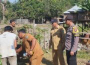 Bhabinkamtibmas Polres Bima Kota Dampingi Petugas Dinas Pertanian Laksanakan Vaksinasi Ternak di Kelurahan Jatibaru Timur