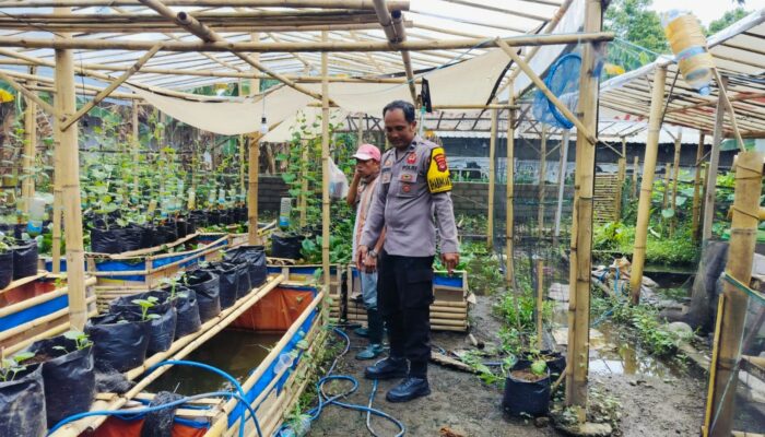 Warga Dusun Tempit Diajak Tanam Sayur di Pekarangan, Dukung Ketahanan Pangan Nasional