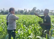 Bhabinkamtibmas Desa Sandik Dorong Warga Perkuat Swasembada Pangan