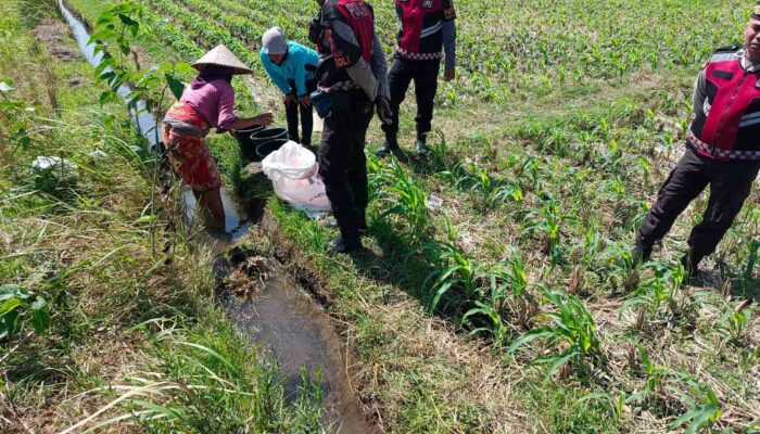 Sat Samapta Polres Lombok Barat Dukung Petani Jagung di Kuripan
