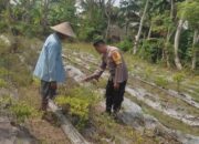 Bhabinkamtibmas Desa Kuranji Ajak Warga Manfaatkan Lahan Kosong untuk Ketahanan Pangan