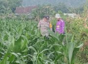 Polsek Lembar Dukung Ketahanan Pangan Lewat Pendampingan Petani di Desa Babussalam