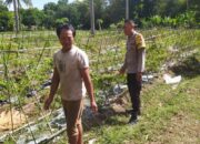 Bhabinkamtibmas Batu Putih Dorong Petani Sekotong Optimalkan Lahan Produktif