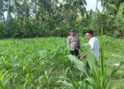 Sinergi Polri dan Petani di Sekotong: Kunci Ketahanan Pangan dari Desa