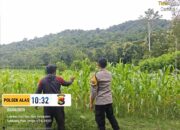 Bhabinkamtibmas Labuhan Alas Ajak Warga Manfaatkan Lahan Kering untuk Ketahanan Pangan