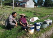 Bhabinkamtibmas Kuripan Dorong Kemandirian Pangan Keluarga dari Pekarangan