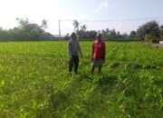 Bhabinkamtibmas Desa Jagaraga Dorong Pemanfaatan Lahan Produktif untuk Ketahanan Pangan