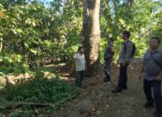 Polsek dan Koramil Bayan Kawal Penutupan Sementara Jalur Pendakian Gunung Rinjani