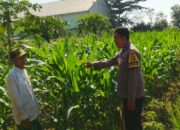 Bhabinkamtibmas Telagawaru Dorong Pemanfaatan Pekarangan untuk Ketahanan Pangan
