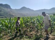 Upaya mendukung asta cita program Prioritas Nasional Pemerintah Polres Sumbawa Barat Melalui Jajaran Bhabinkamtibmas melaksanakan kegiatan pendampingan