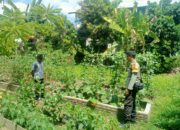 BHABINKAMTIBMAS DESA BERU LAKUKAN PENDAMPINGAN DAN MONITORING LAHAN PANGAN WARGA