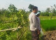 Polri Gerakkan Petani Lombok Barat Sukseskan Program Ketahanan Pangan Nasional