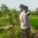 Polri Gerakkan Petani Lombok Barat Sukseskan Program Ketahanan Pangan Nasional