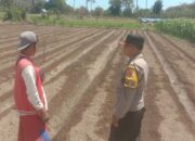 Polsek Rhee Dukung Ketahanan Pangan, Bhabinkamtibmas Ajak Warga Manfaatkan Lahan Kosong
