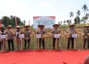 Kapolres Loteng Dampingi Kapolda NTB Panen Raya Jagung Serentak Kuartal III di Batukliang. ‎ ‎